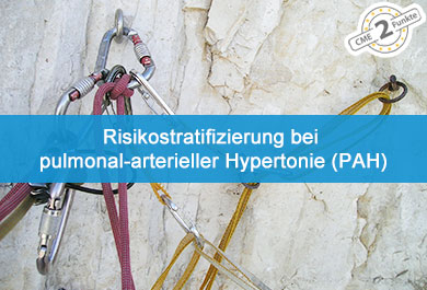 Risikostratifizierung bei pulmonal-arterieller Hypertonie (PAH)